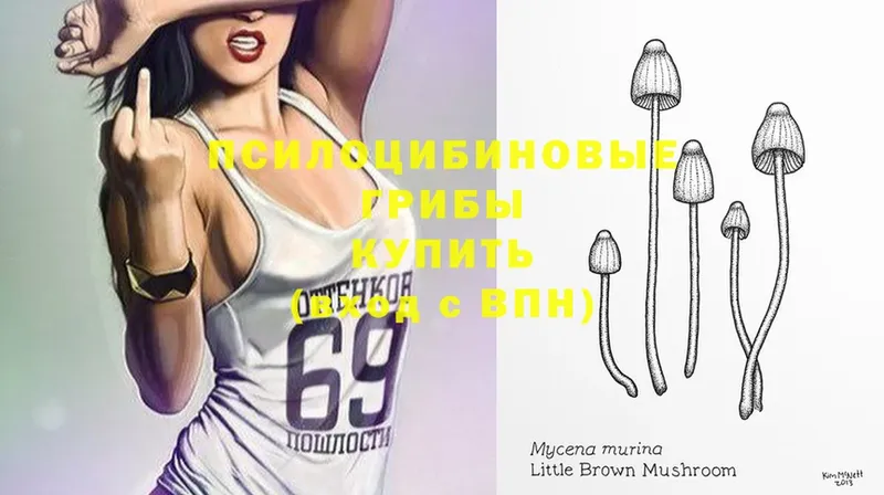 Псилоцибиновые грибы MAGIC MUSHROOMS  даркнет официальный сайт  Бронницы 